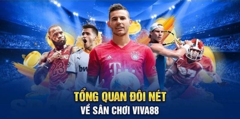 Người chơi đăng ký và đặt cược vào các trận đấu bóng đá cấp độ Betvip như thế nào? - Betvip