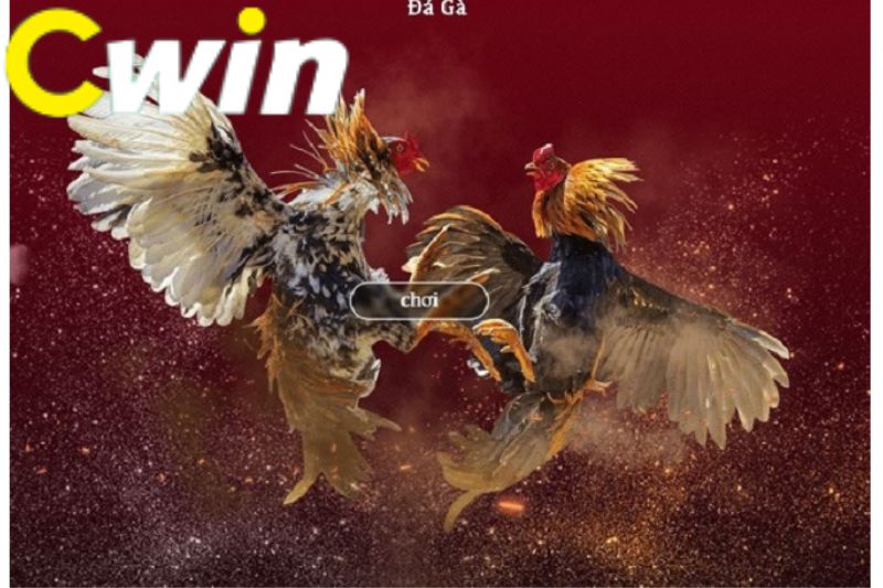 Đăng nhập an toàn Vivu88: Ba phương thức xác thực | Xác thực hai yếu tố | SSL 256 bit - Vivu88