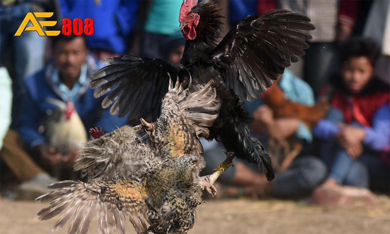 Những điều quan trọng cần lưu ý khi gửi tiền vào trang web chơi game cấp 23Win - 23Win