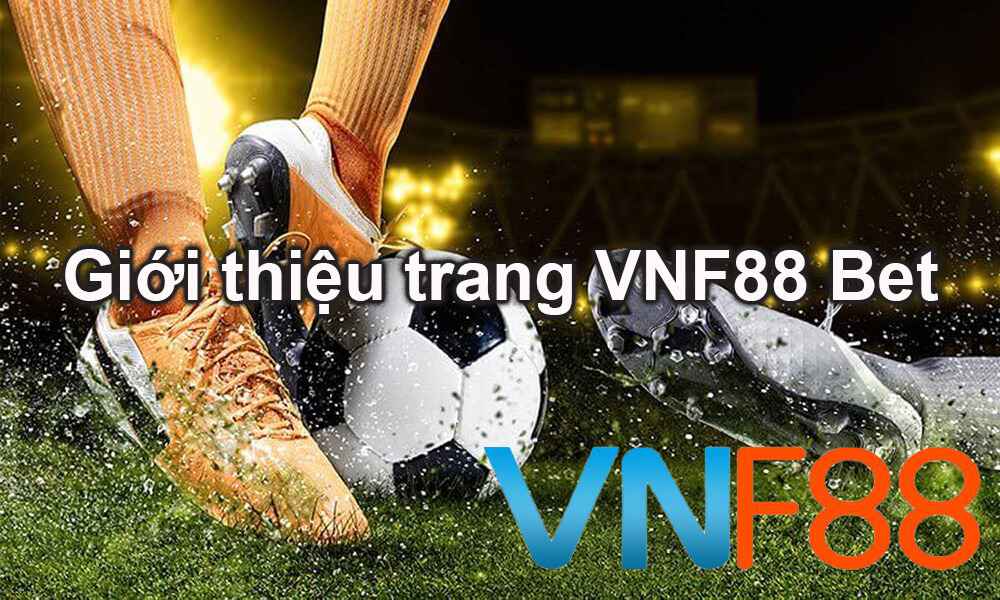 Phân tích chi tiết về K29 - K29