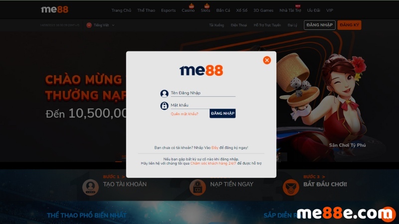Tổng quan về thương hiệu K9win - K9win
