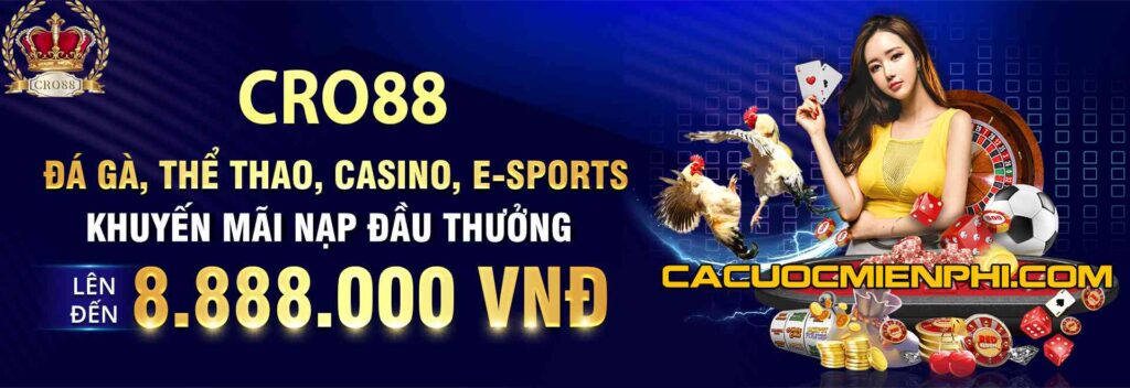 Giới thiệu về trang web chọi gà 79King - 79King