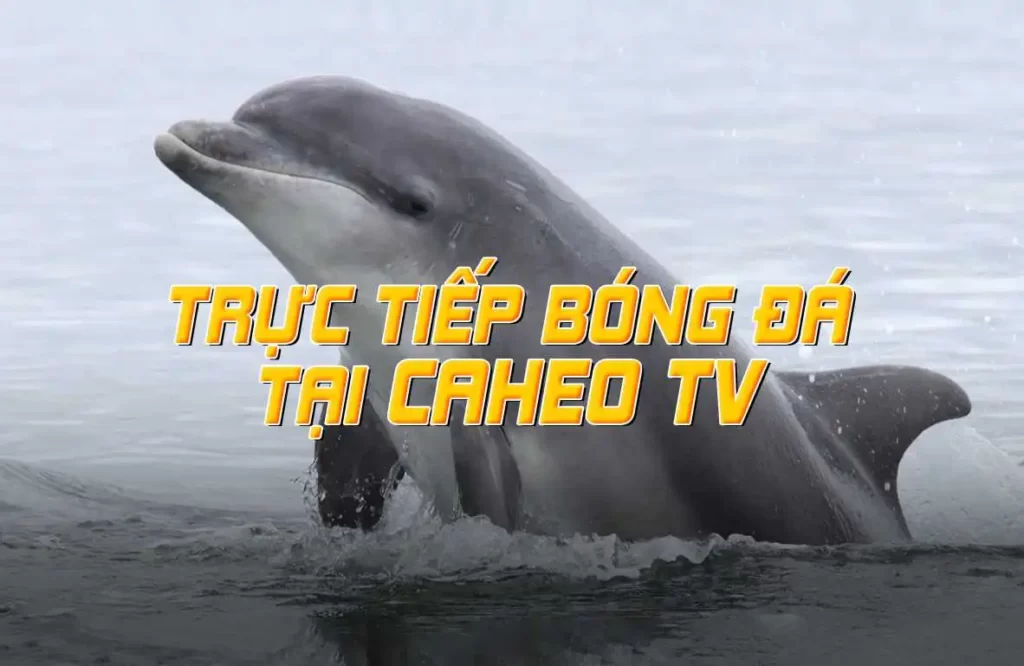 Tôi phải làm gì nếu quên mật khẩu đăng nhập tài khoản Kuwin của mình? - Kuwin