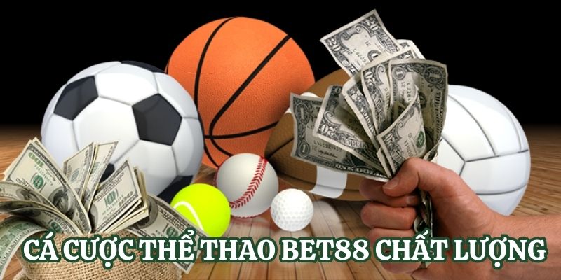 Betvn có một trang web hoàn toàn mới, các trò chơi slot hoàn toàn mới và các tính năng hoàn toàn mới - Betvn