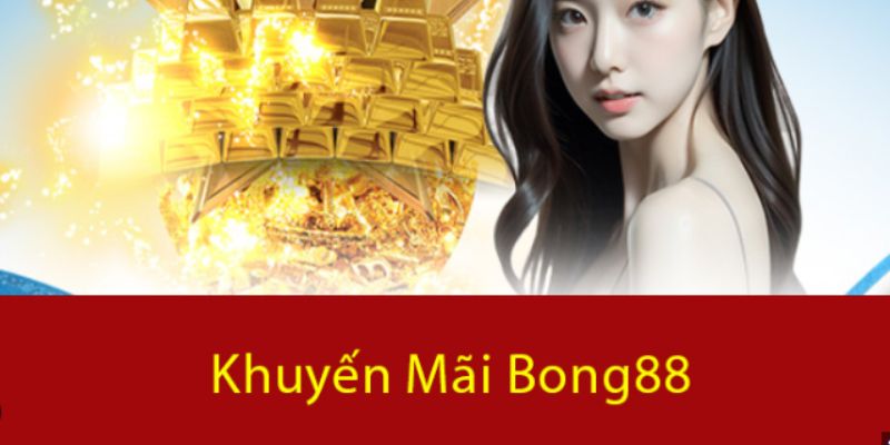 88Xeng tập hợp tất cả các khu cắm trại nổi tiếng và được yêu thích - 88Xeng