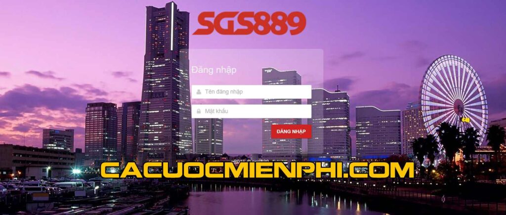 Kiểm tra độ tin cậy của các nền tảng giải trí được xếp hạng Tobet - Tobet