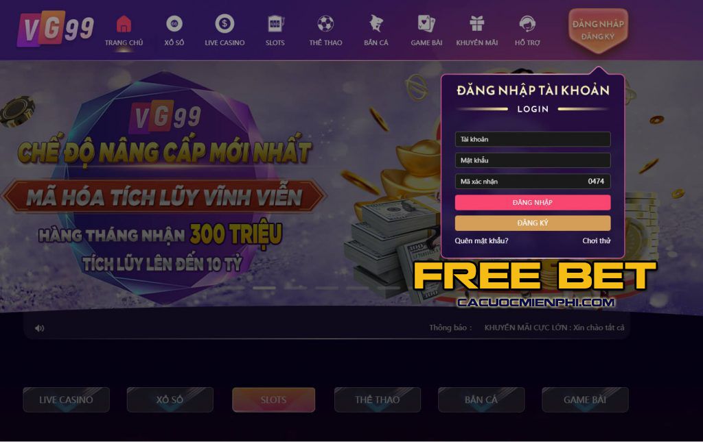 Dịch vụ của Công ty Trò chơi Vt999 - Vt999
