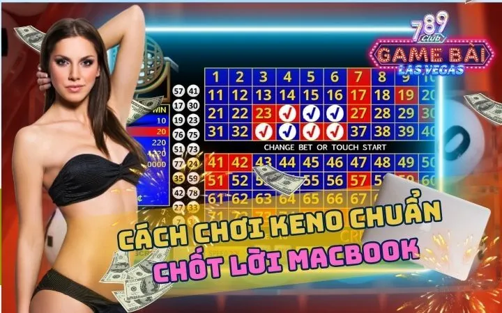 K88 là một nhánh của lĩnh vực dịch vụ mạng - K88