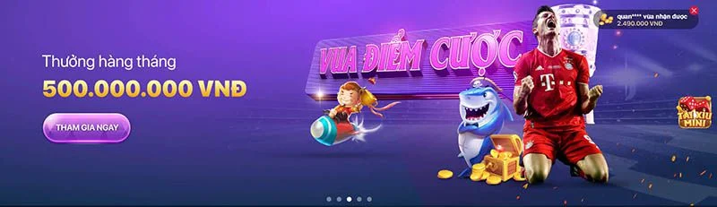 Lý do nên chọn cá cược bóng chuyền cấp độ Zbet88 - Zbet88