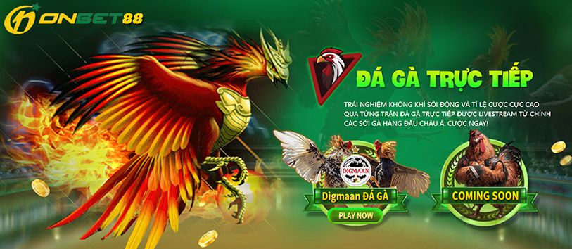 266Bet Trò chơi thể thao và bóng đá trực tuyến Việt Nam - 266Bet