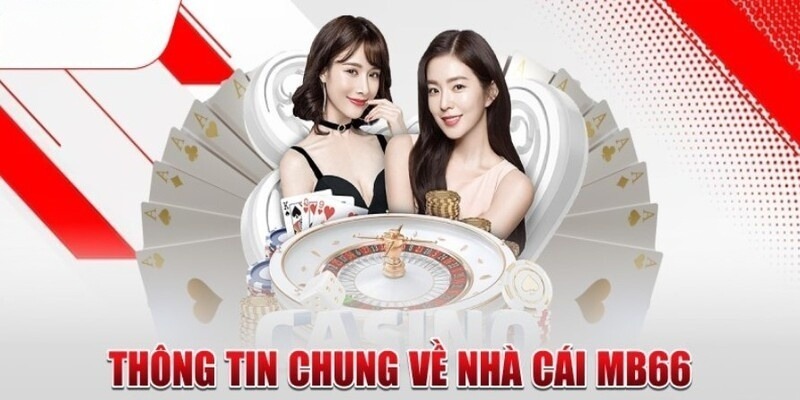 Tham gia các sự kiện cá cược quy mô lớn cấp 33King - 33King