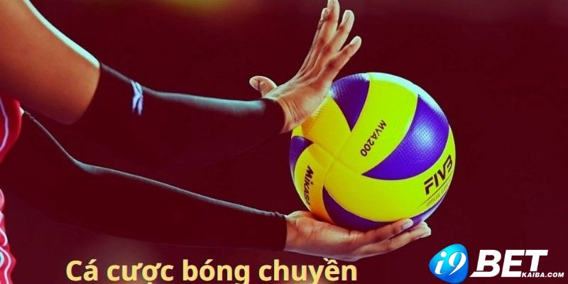 Tham gia chương trình Vinbet: Những khía cạnh thú vị của Việt Nam - Vinbet