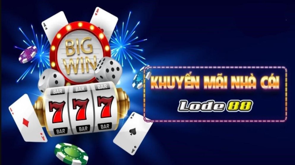 Mối liên hệ mới nhất giữa Betvn và Betvn vào năm 2026 là gì? - Betvn